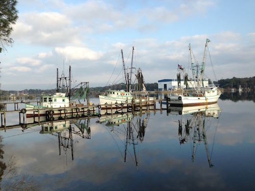 Fishing boats in the bay